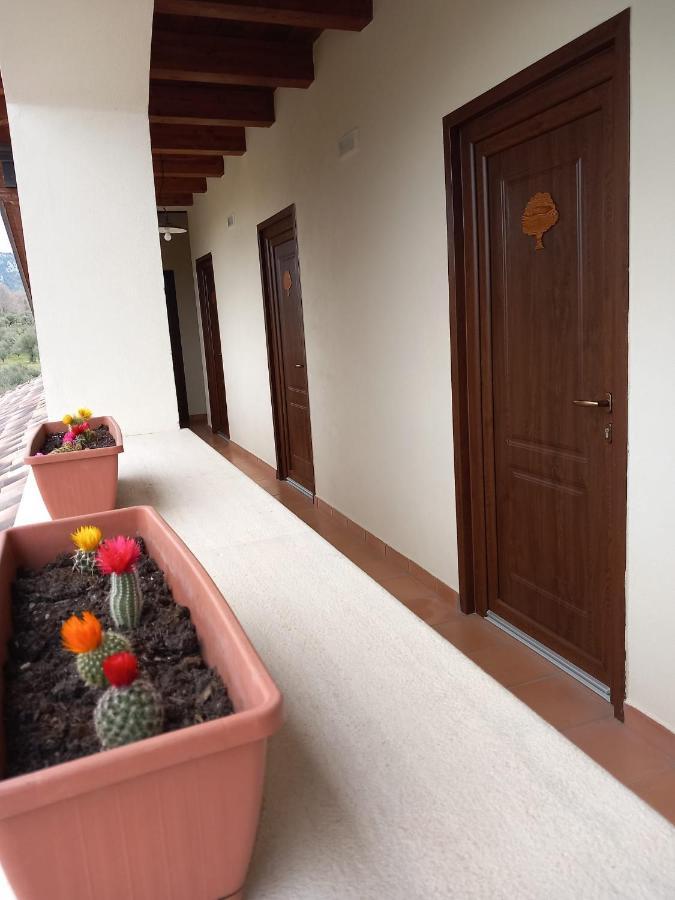 Agriturismo L'Ulivo ปาดูลา ภายนอก รูปภาพ