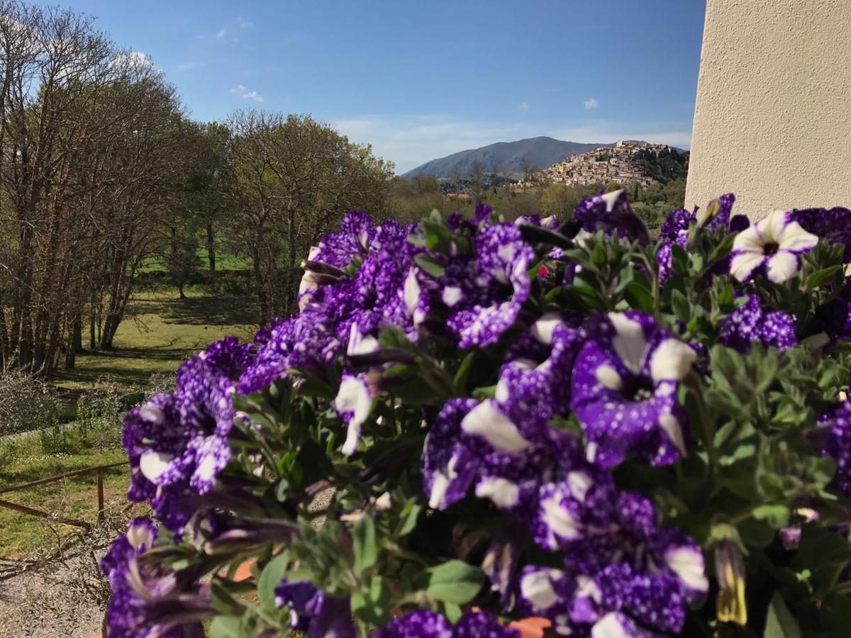 Agriturismo L'Ulivo ปาดูลา ภายนอก รูปภาพ