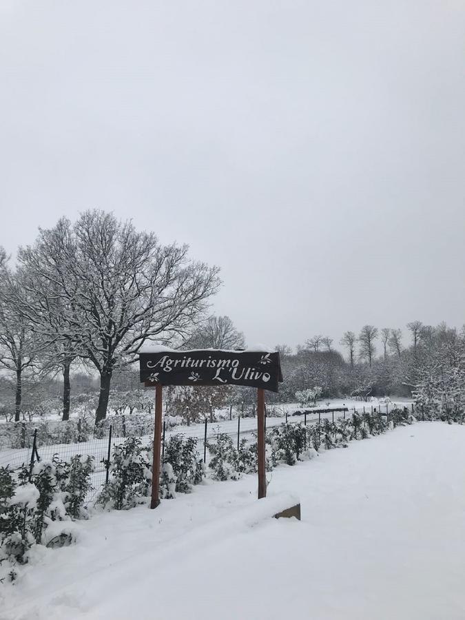 Agriturismo L'Ulivo ปาดูลา ภายนอก รูปภาพ